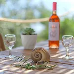 Lakka Σπίτι διακοπών Άγιος Πέτρος Αλοννήσου