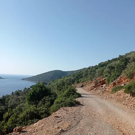 Lakka *