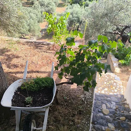 Tatil Evi Lakka