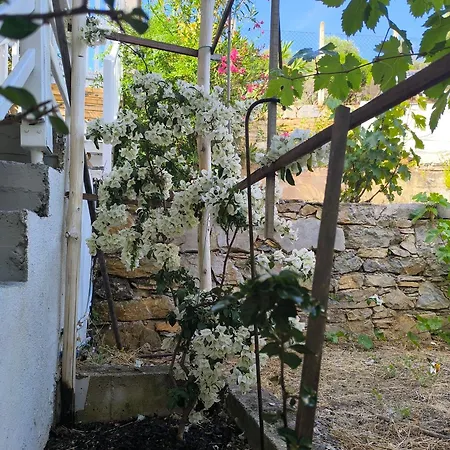 Lakka Agios Petros (Alonissos)