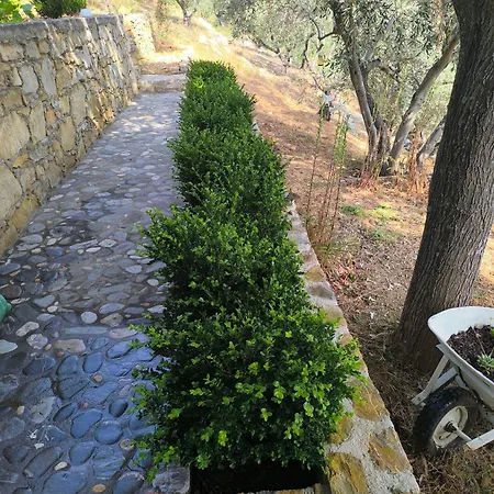 Lakka Agios Petros (Alonissos)
