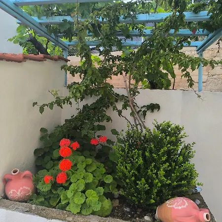 Lakka * Agios Petros (Alonissos)