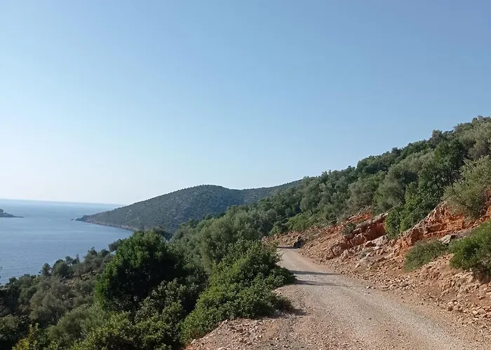 Lakka *