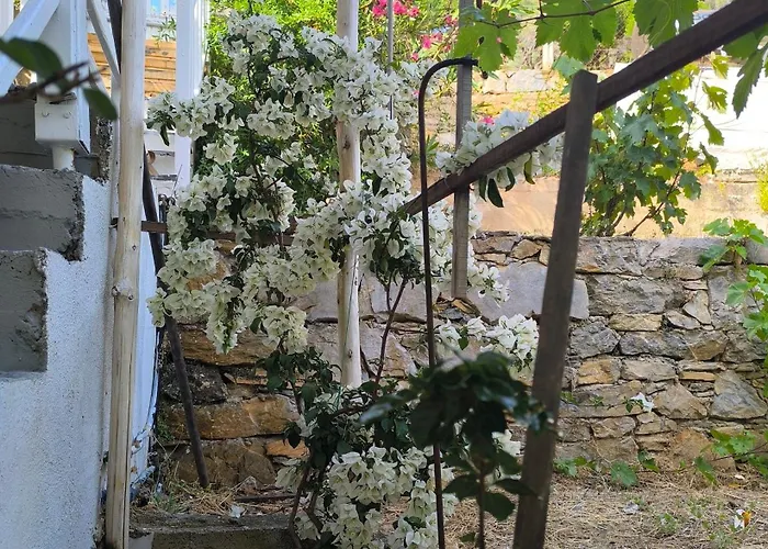 Lakka Agios Petros (Alonissos)