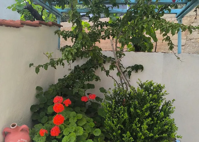 Lakka * Agios Petros (Alonissos)